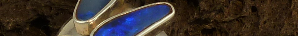 P1000142_banner.jpg